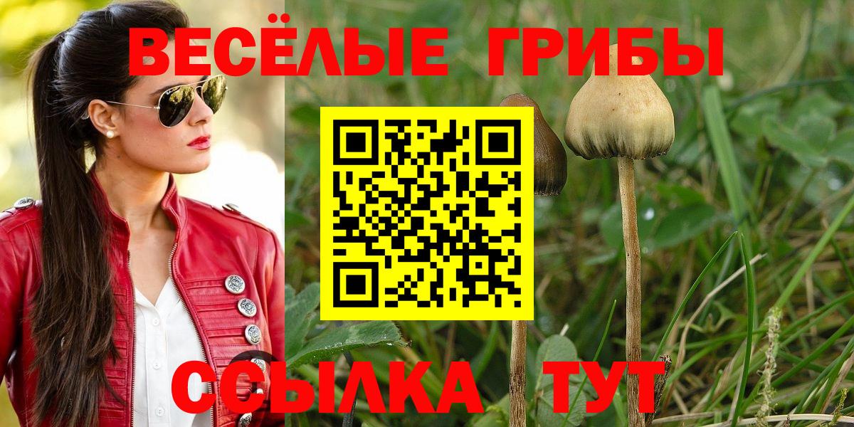 Галлюциногенные грибы мицелий  Вход с VPN  купить наркотики сайты  Галлюциногенные грибы мицелий  Урус-Мартан 